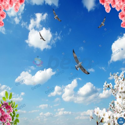 Montajlanmış Görseller