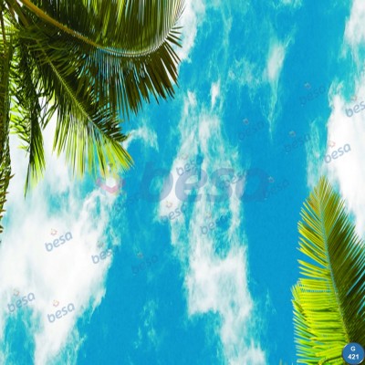 Montajlanmış Görseller