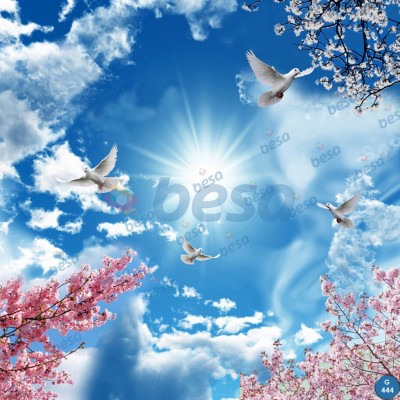 Montajlanmış Görseller