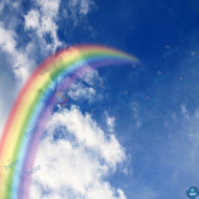 Montajlanmış Görseller