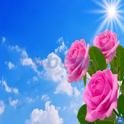 Montajlanmış Görseller