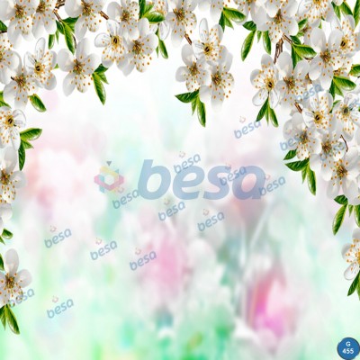 Montajlanmış Görseller